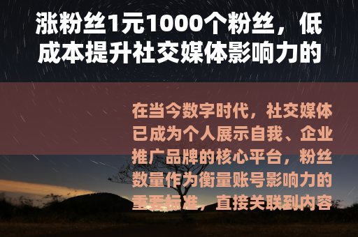 涨粉丝1元1000个粉丝，低成本提升社交媒体影响力的综合指南