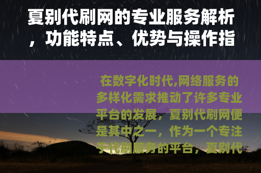夏别代刷网的专业服务解析，功能特点、优势与操作指南