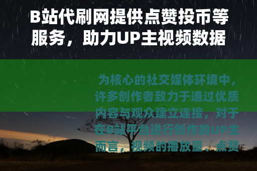 B站代刷网提供点赞投币等服务，助力UP主视频数据提升
