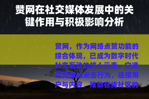 赞网在社交媒体发展中的关键作用与积极影响分析
