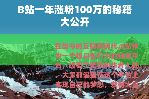 B站一年涨粉100万的秘籍大公开