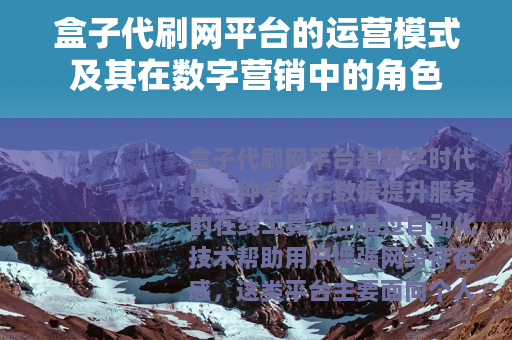 盒子代刷网平台的运营模式及其在数字营销中的角色