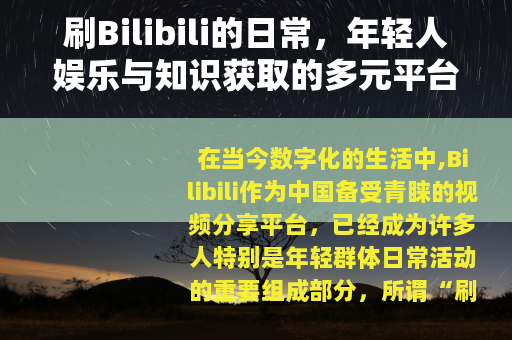 刷Bilibili的日常，年轻人娱乐与知识获取的多元平台体验