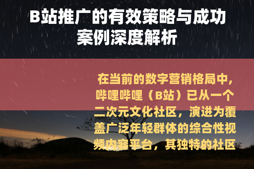 B站推广的有效策略与成功案例深度解析