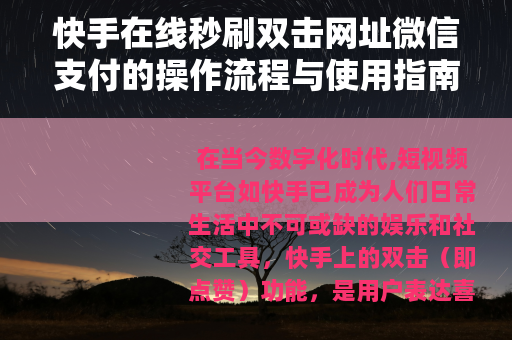 快手在线秒刷双击网址微信支付的操作流程与使用指南