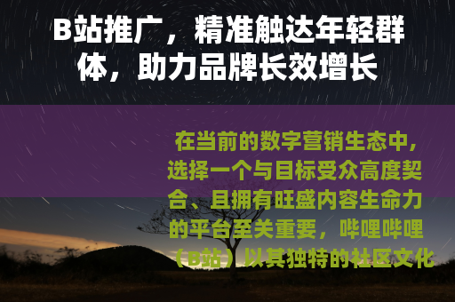 B站推广，精准触达年轻群体，助力品牌长效增长