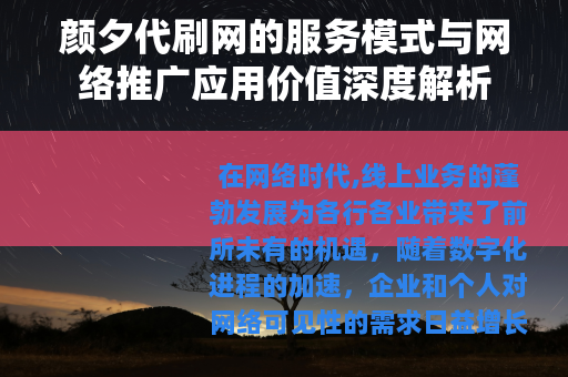 颜夕代刷网的服务模式与网络推广应用价值深度解析