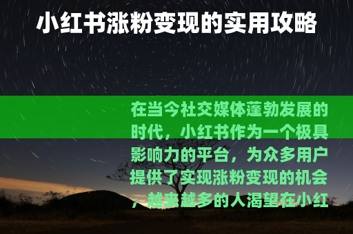 小红书涨粉变现的实用攻略