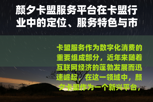 颜夕卡盟服务平台在卡盟行业中的定位、服务特色与市场前景分析