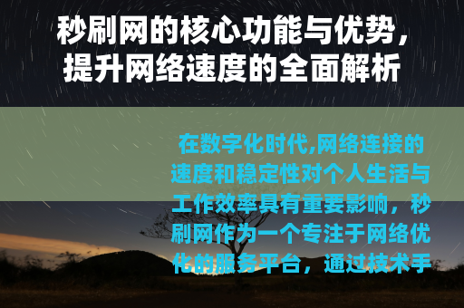 秒刷网的核心功能与优势，提升网络速度的全面解析