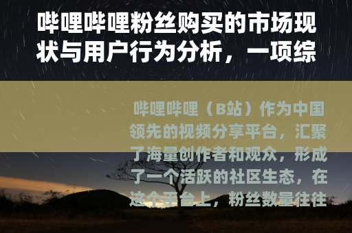 哔哩哔哩粉丝购买的市场现状与用户行为分析，一项综合研究