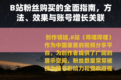 B站粉丝购买的全面指南，方法、效果与账号增长关联