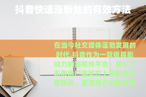 抖音快速涨粉丝的有效方法