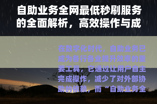 自助业务全网最低秒刷服务的全面解析，高效操作与成本优势