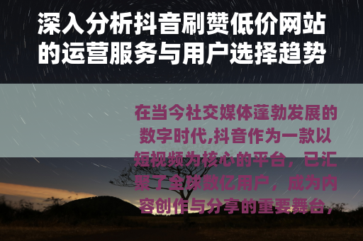 深入分析抖音刷赞低价网站的运营服务与用户选择趋势