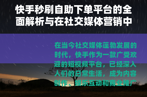 快手秒刷自助下单平台的全面解析与在社交媒体营销中的实践应用