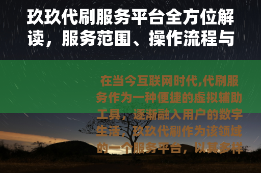 玖玖代刷服务平台全方位解读，服务范围、操作流程与用户价值分析