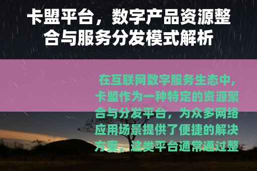 卡盟平台，数字产品资源整合与服务分发模式解析