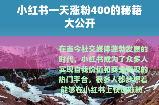 小红书一天涨粉400的秘籍大公开