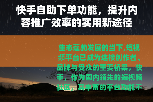 快手自助下单功能，提升内容推广效率的实用新途径