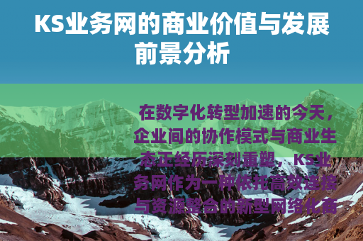 KS业务网的商业价值与发展前景分析