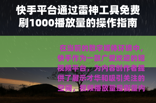 快手平台通过雷神工具免费刷1000播放量的操作指南与效果评述