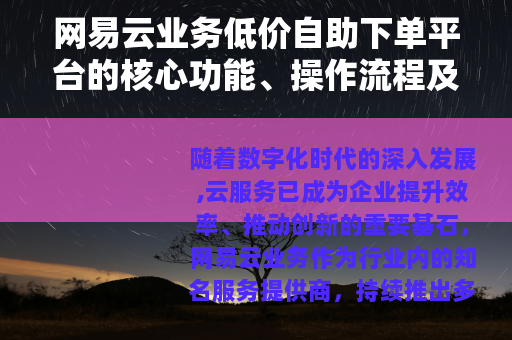 网易云业务低价自助下单平台的核心功能、操作流程及市场影响力综述