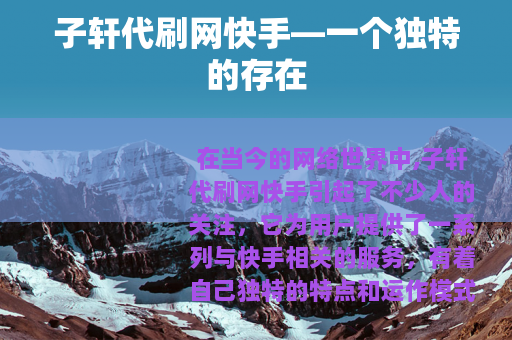 子轩代刷网快手—一个独特的存在