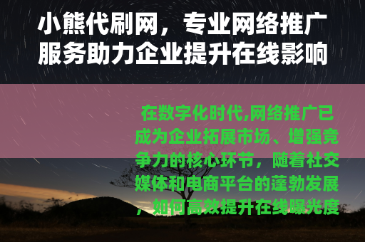 小熊代刷网，专业网络推广服务助力企业提升在线影响力与品牌价值
