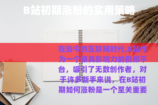 B站初期涨粉的实用策略