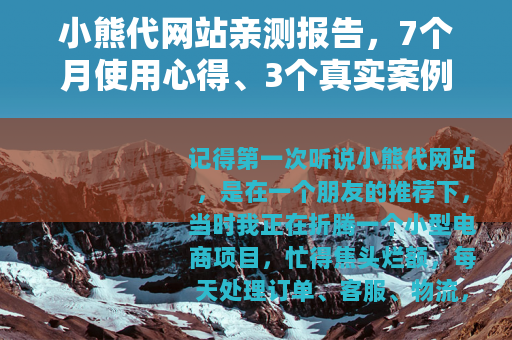 小熊代网站亲测报告，7个月使用心得、3个真实案例与那些踩过的坑