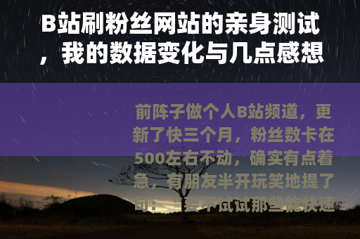 B站刷粉丝网站的亲身测试，我的数据变化与几点感想