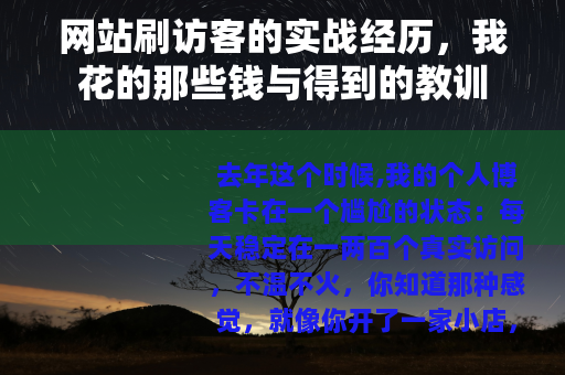 网站刷访客的实战经历，我花的那些钱与得到的教训