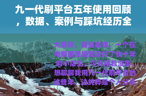 九一代刷平台五年使用回顾，数据、案例与踩坑经历全分享