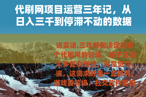 代刷网项目运营三年记，从日入三千到停滞不动的数据实录
