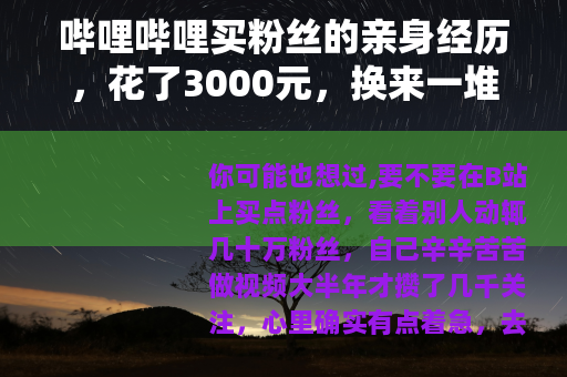哔哩哔哩买粉丝的亲身经历，花了3000元，换来一堆不会动的数字