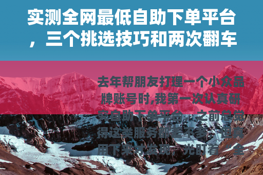 实测全网最低自助下单平台，三个挑选技巧和两次翻车记录