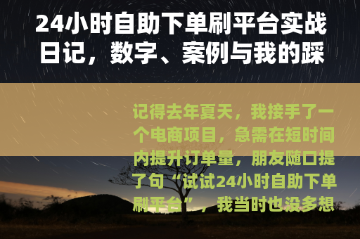 24小时自助下单刷平台实战日记，数字、案例与我的踩坑笔记