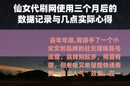 仙女代刷网使用三个月后的数据记录与几点实际心得