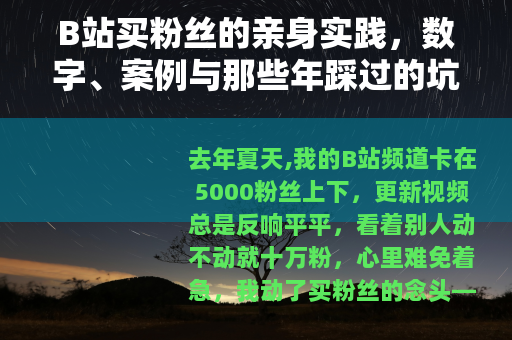 B站买粉丝的亲身实践，数字、案例与那些年踩过的坑