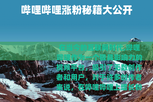 哔哩哔哩涨粉秘籍大公开