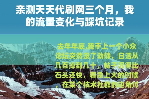 亲测天天代刷网三个月，我的流量变化与踩坑记录