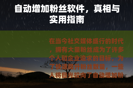 自动增加粉丝软件，真相与实用指南