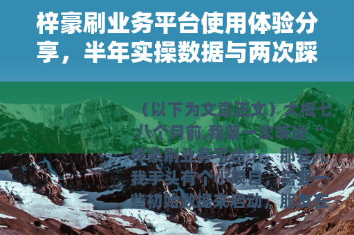 梓豪刷业务平台使用体验分享，半年实操数据与两次踩坑记录