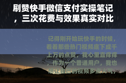 刷赞快手微信支付实操笔记，三次花费与效果真实对比