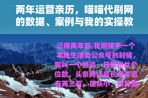两年运营亲历，喵喵代刷网的数据、案例与我的实操教训