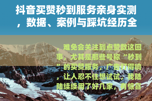 抖音买赞秒到服务亲身实测，数据、案例与踩坑经历全分享