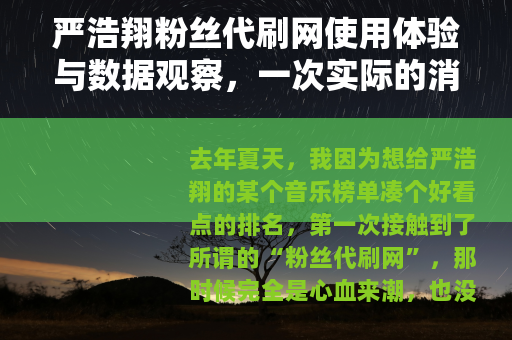 严浩翔粉丝代刷网使用体验与数据观察，一次实际的消费记录分享