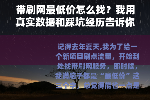 带刷网最低价怎么找？我用真实数据和踩坑经历告诉你