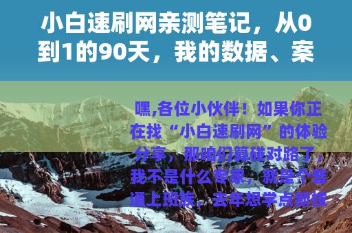 小白速刷网亲测笔记，从0到1的90天，我的数据、案例与踩坑实录